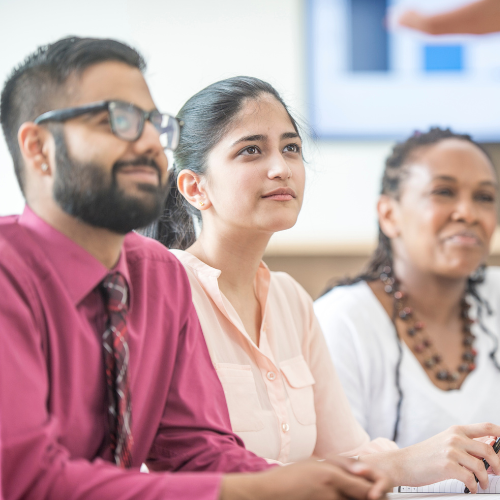 Website Custom Training